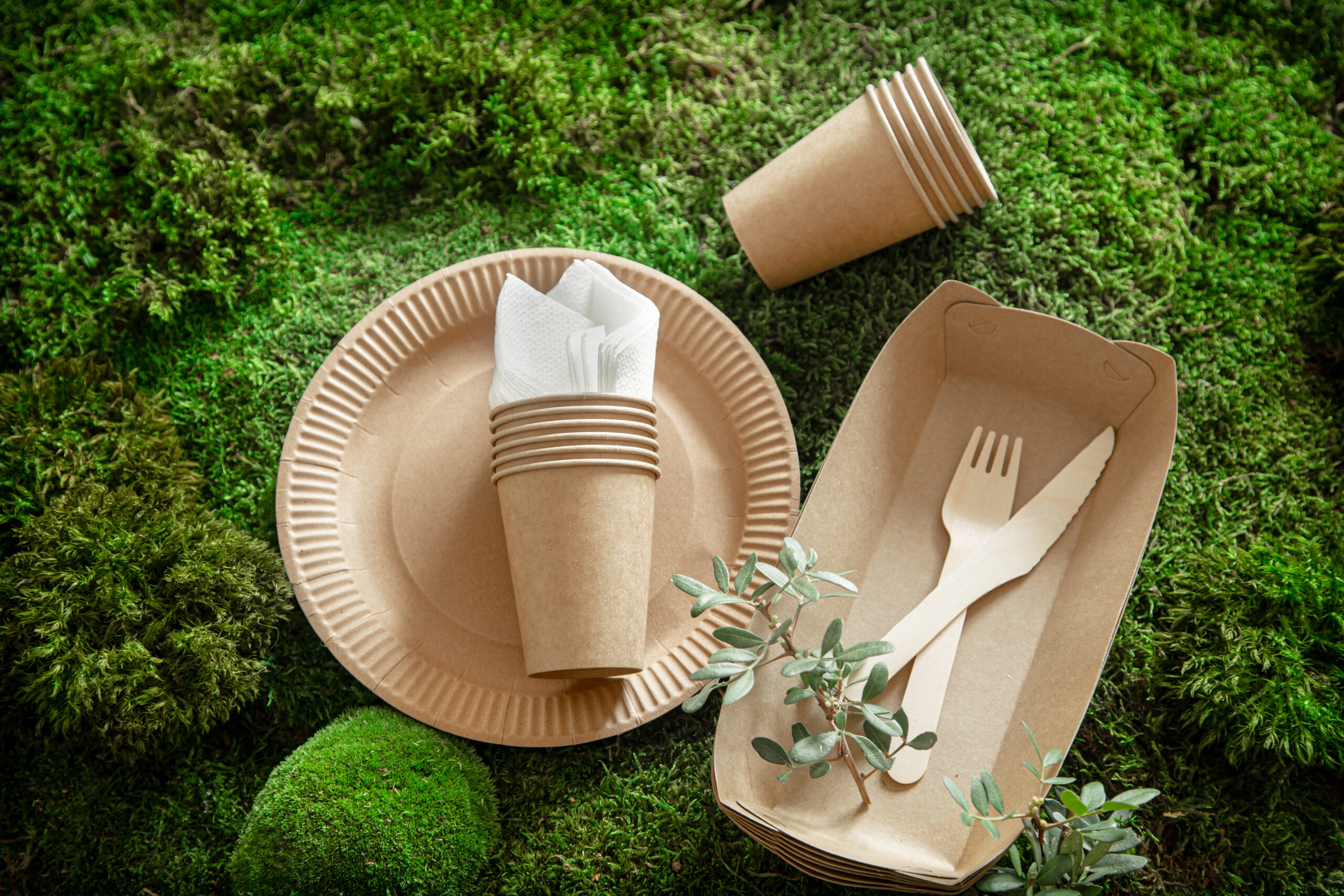Envases de Eco Platos y Vasos